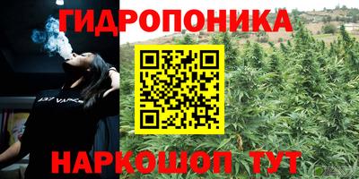 круглые Тверь