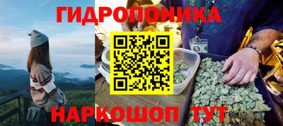 круглые Тверь
